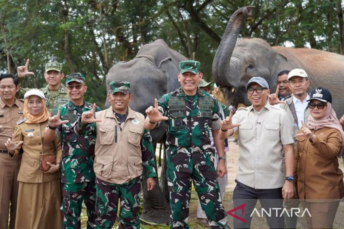 Pangdam: Pendekatan lingkungan diterapkan cegah konflik manusia-gajah