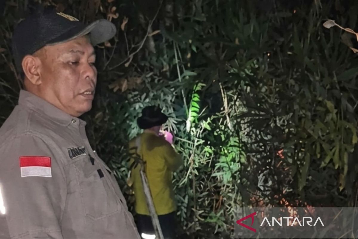 Aksi Tanggap Plt Kadishut Kaltim Padamkan Karhutla Tahura Bukit Soeharto