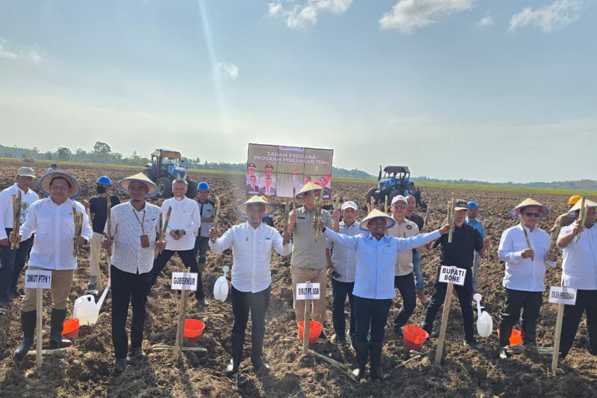 SGN Tanam Perdana Perluasan Areal Tebu Demi Dongkrak Produksi Gula