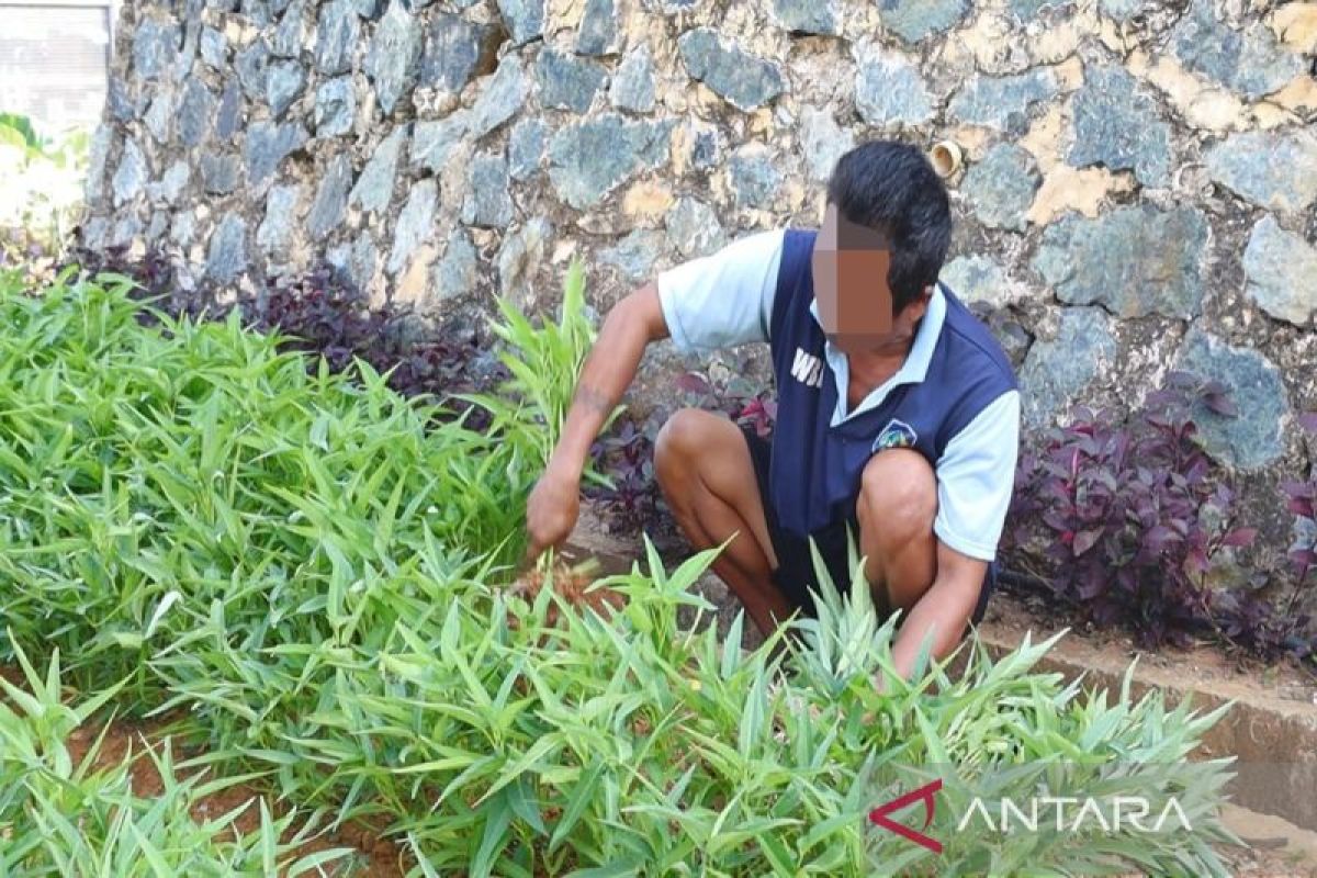 Lapas Batulicin Kembangkan Lahan Minimalis untuk Ketahanan Pangan