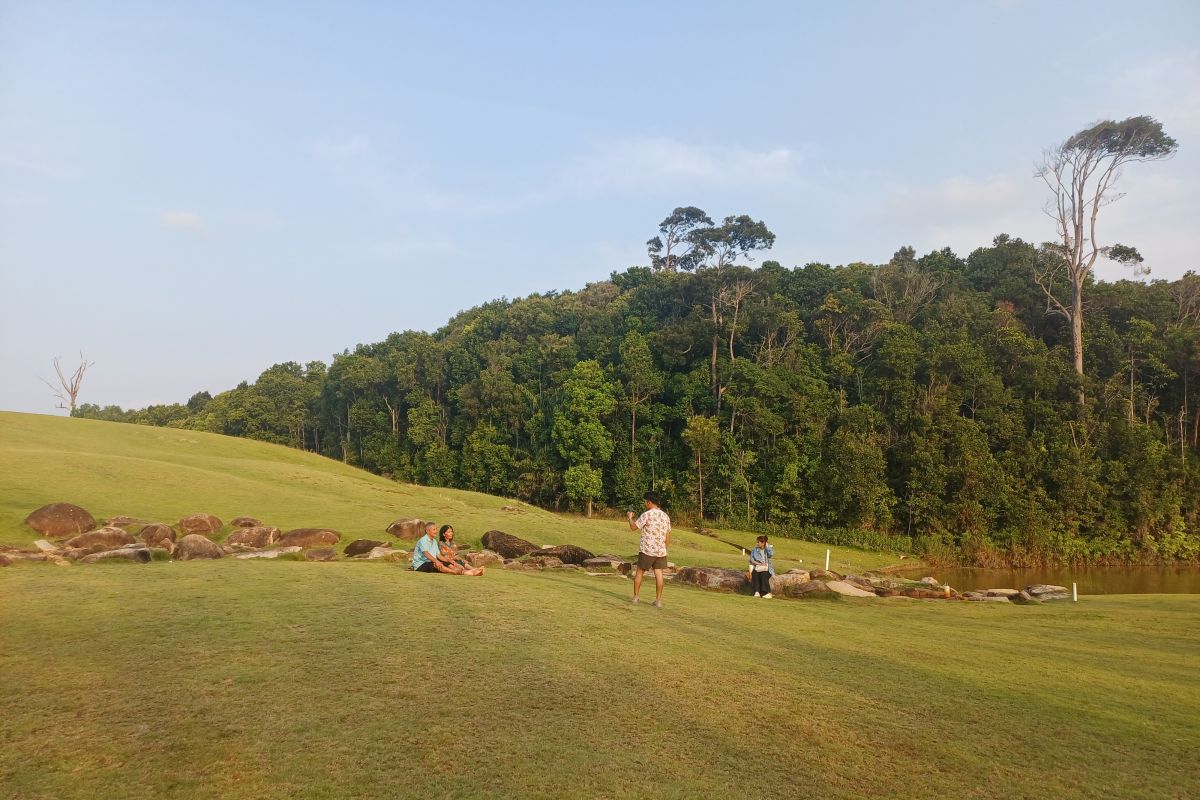 Image Print