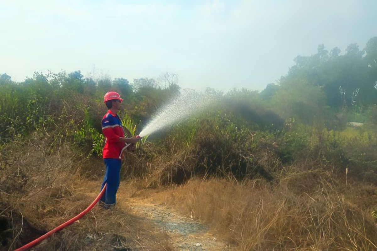 Pelindo Sub Regional Kalimantan Gencarkan Antisipasi Karhutla di Pelabuhan Basirih