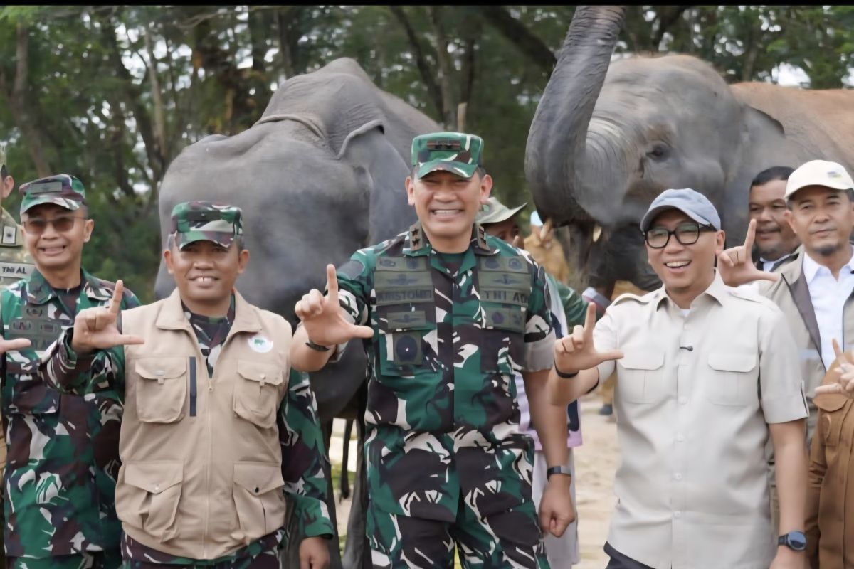 Menjaga jarak dengan gajah, menjaga penghidupan warga di Way Kambas