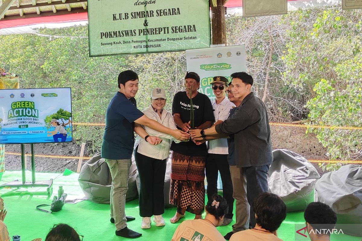 Jaga ekosistem pesisir, BLDF tanam 5.000 bibit mangrove di Bali
