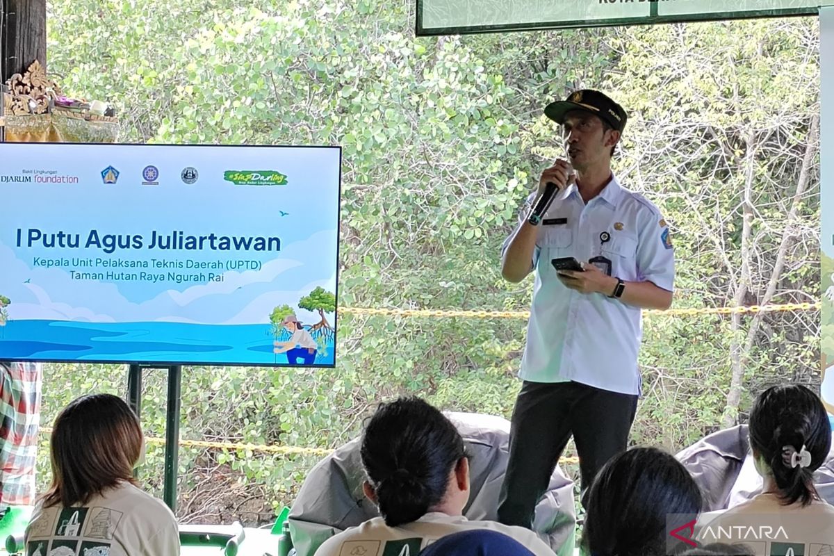 Kunci Sukses Rehabilitasi Mangrove Bukan Sekadar Jumlah Bibit
