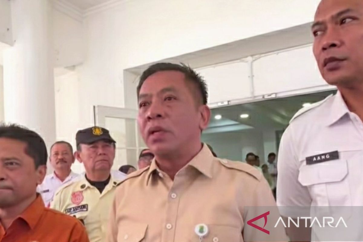 Job Fair 2026 Online Pemkab Karawang Diserbu Ribuan Pencari Kerja