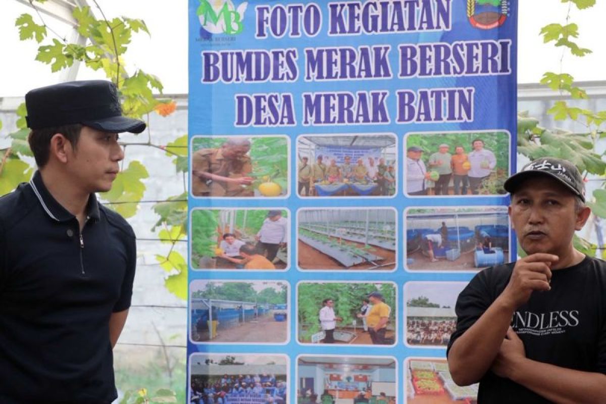 Bupati Lampung Selatan dorong budidaya melon dan anggur berbasis BUMDes