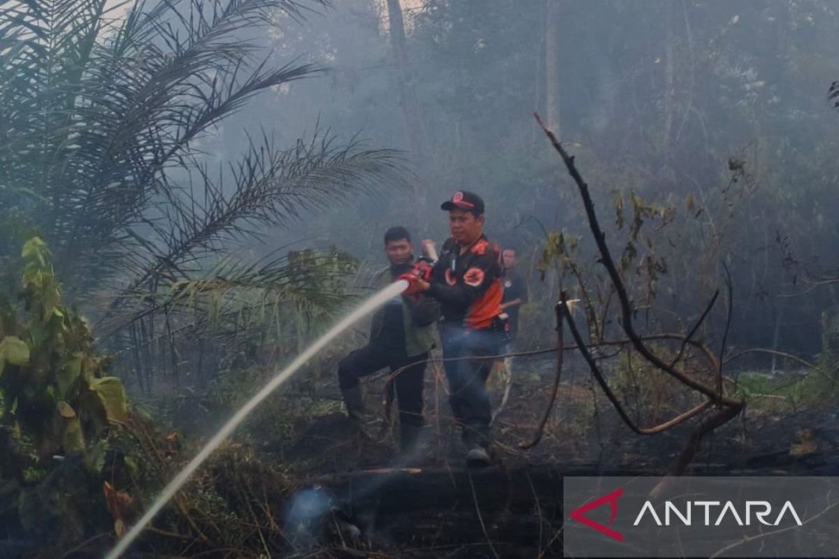 BPBD: Karhutla di Kabupaten Batang Hari terus meluas - ANTARA News Jambi