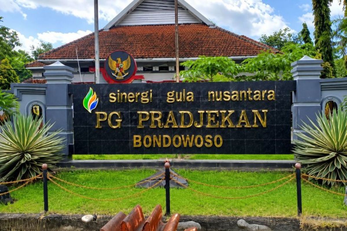 Petani Tebu Bondowoso Diminta Genjot Mutu Panen