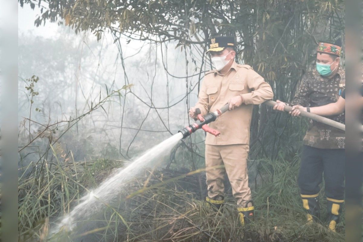 Gubernur Kalteng bantu langsung penanganan karhutla