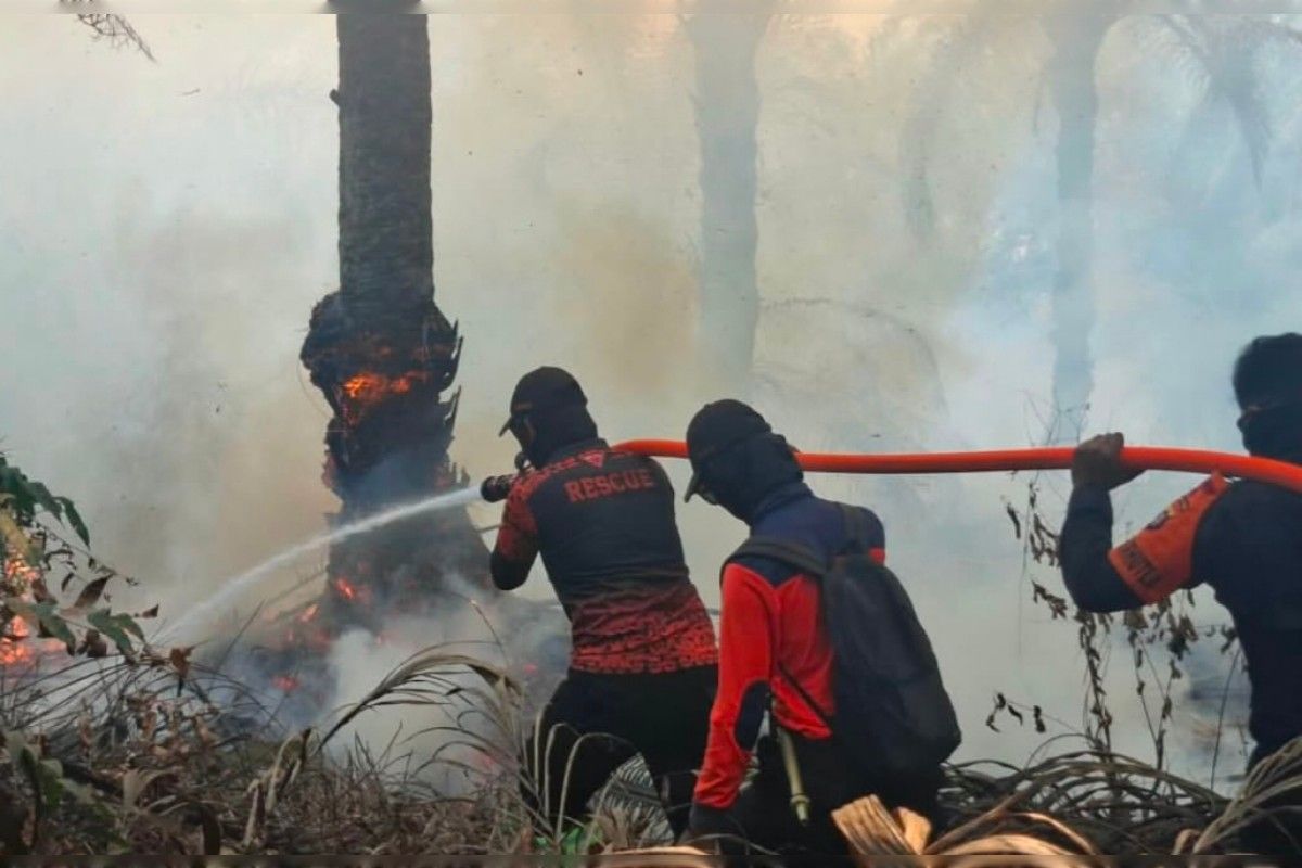 Bupati Lamandau instruksikan penguatan pencegahan dan penanggulangan karhutla