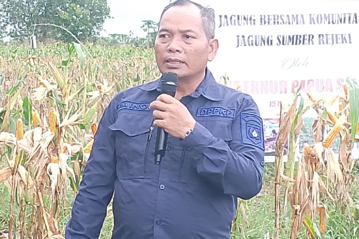 DP2KP Papua Selatan minta nelayan tidak tangkap ikan di perairan PNG