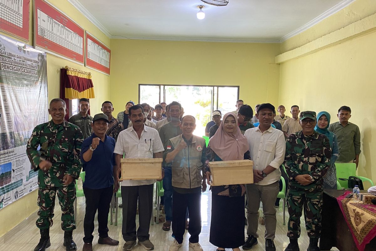 Solusi Inovatif TNWK Redam Konflik Gajah dan Warga