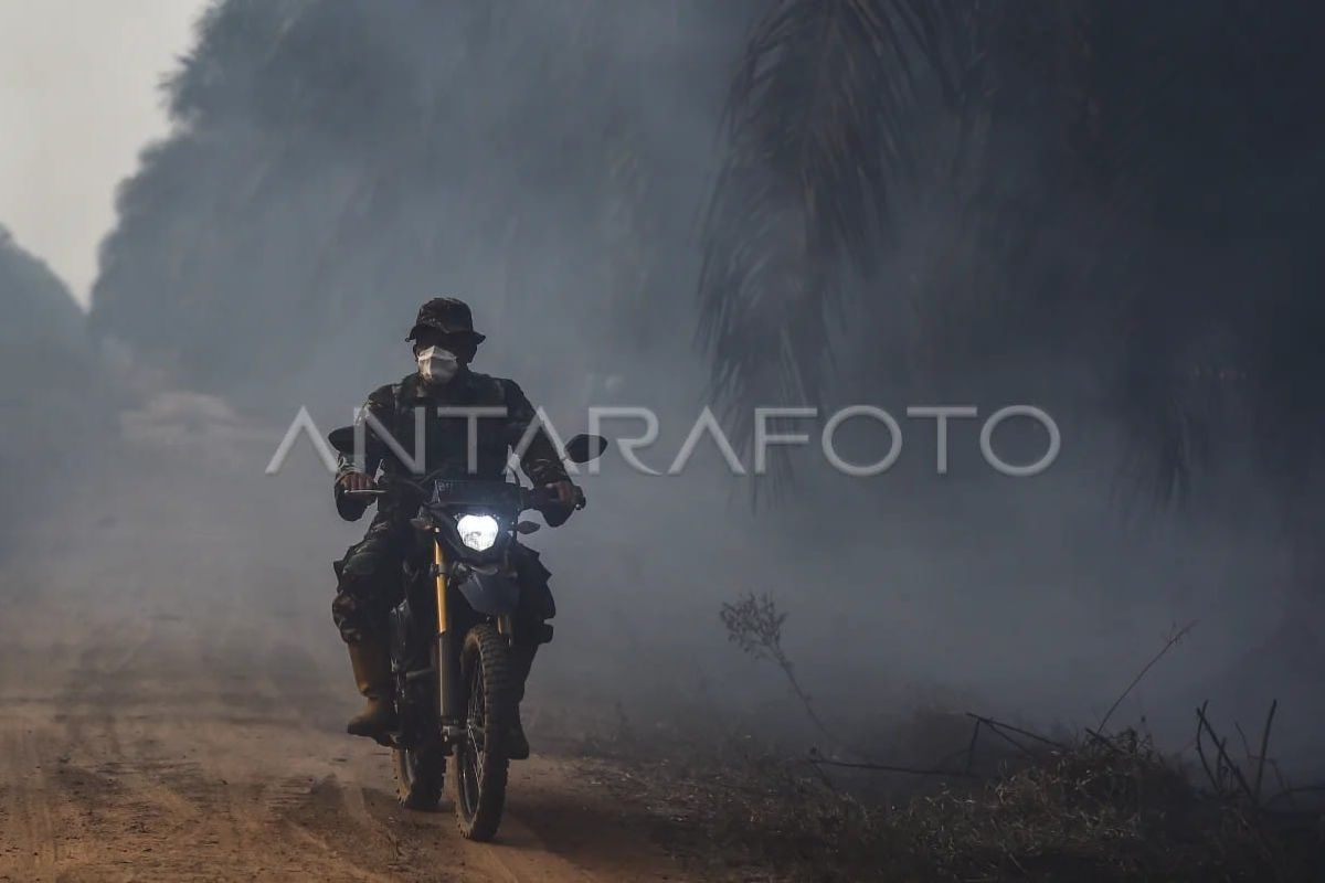 Penanganan karhutla di lahan gambut Muaro Jambi