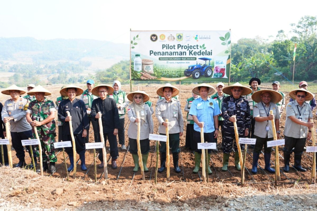 Kemenko Pangan mulai proyek percontohan kedelai di Cariu