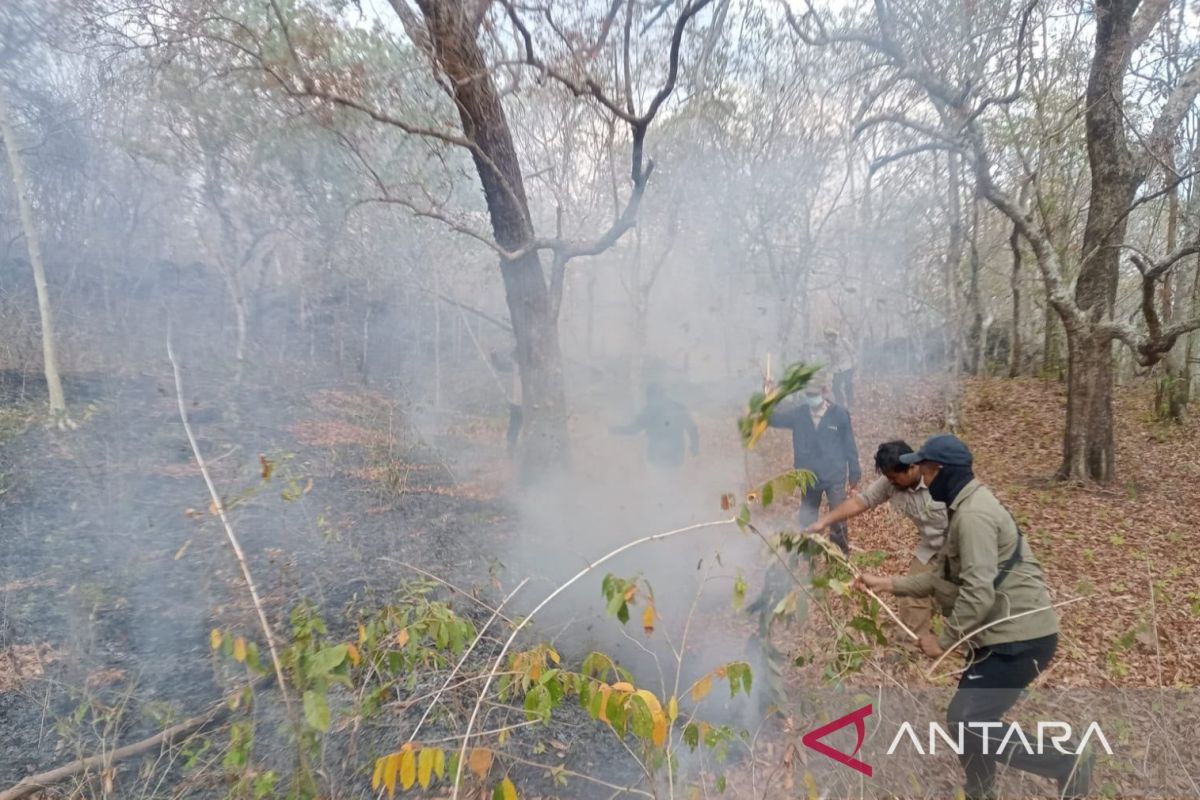 Karhutla awal September 2026 di TN Tambora berdampak sekitar 834 hektare