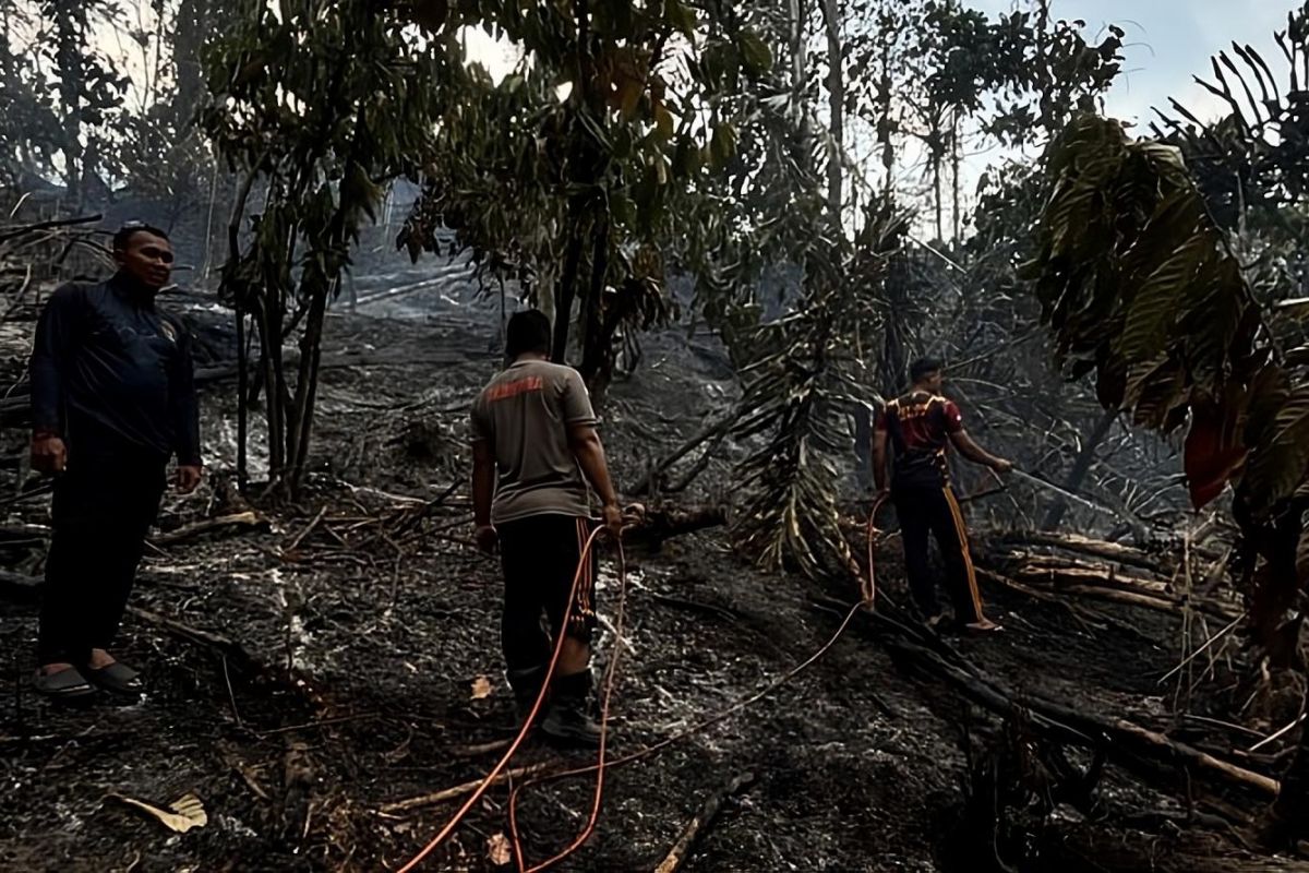 Polres Buol bersama unsur gabungan padamkan  kebakaran hutan dan lahan