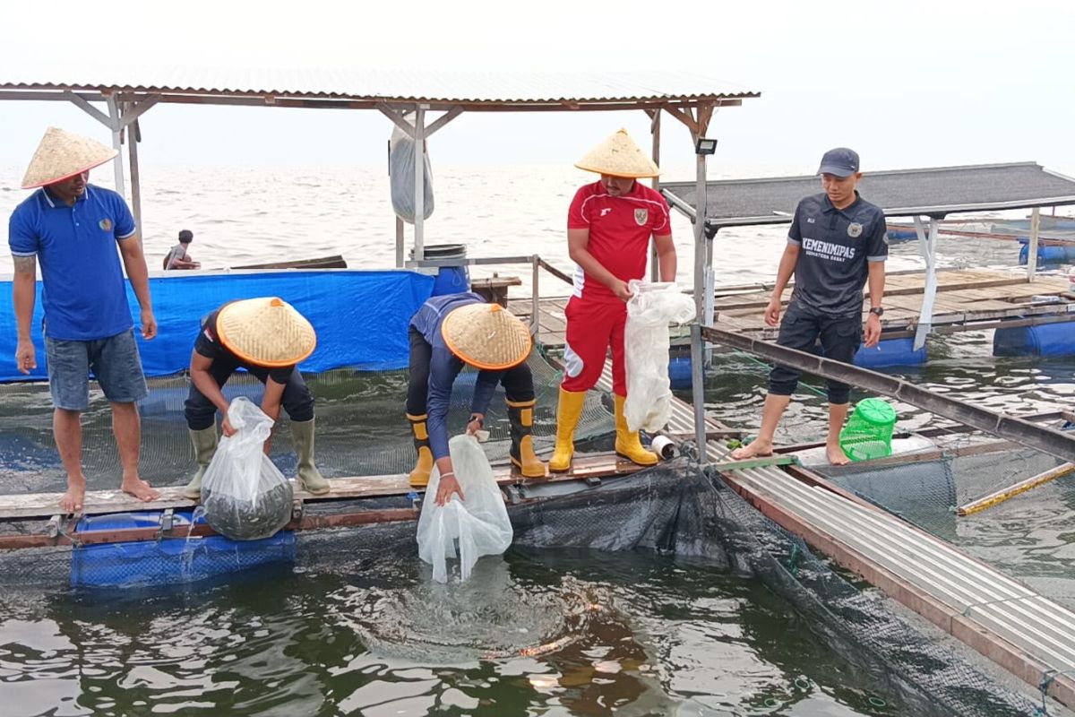 Langkah Nyata Rutan Maninjau Perkuat Ketahanan Pangan Lewat Budidaya Ikan