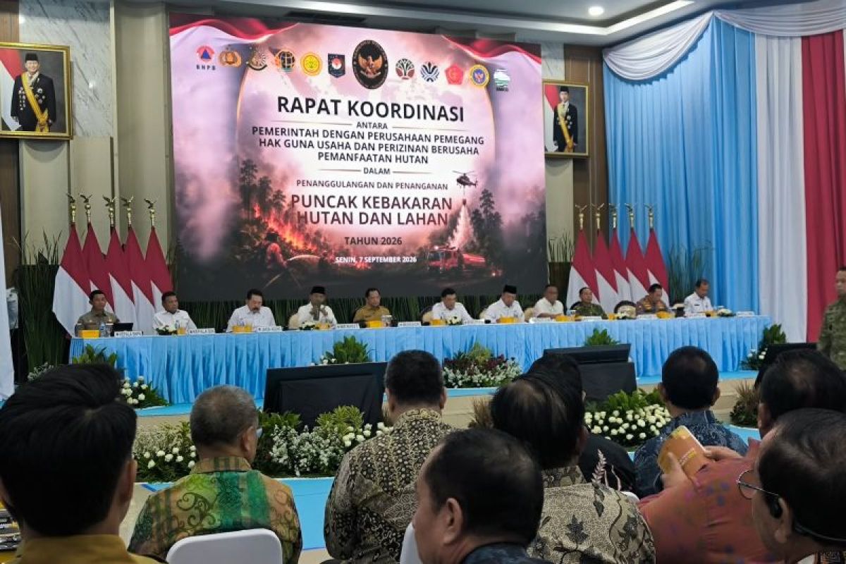 Menko Polkam: Pemerintah perketat penegakan aturan cegah karhutla