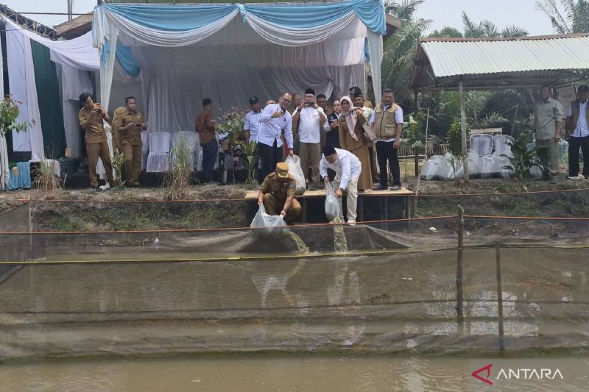 Dipuji Pemkab, Ini Langkah Nyata SKK Migas PetroChina Bangun Kemandirian Pangan Warga Tanjab Barat - ANTARA News Jambi