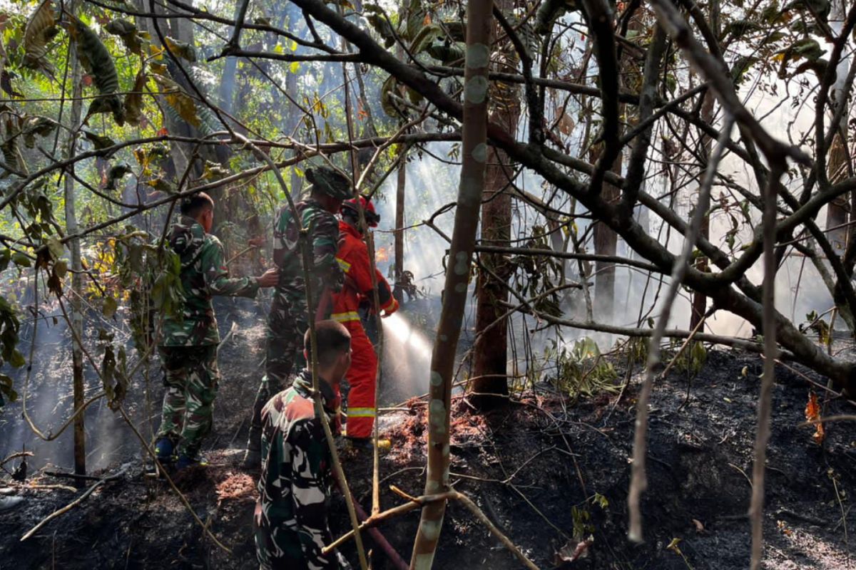 Pemkab Bangka Barat-TNI perkuat edukasi cegah karhutla - ANTARA News Bangka Belitung