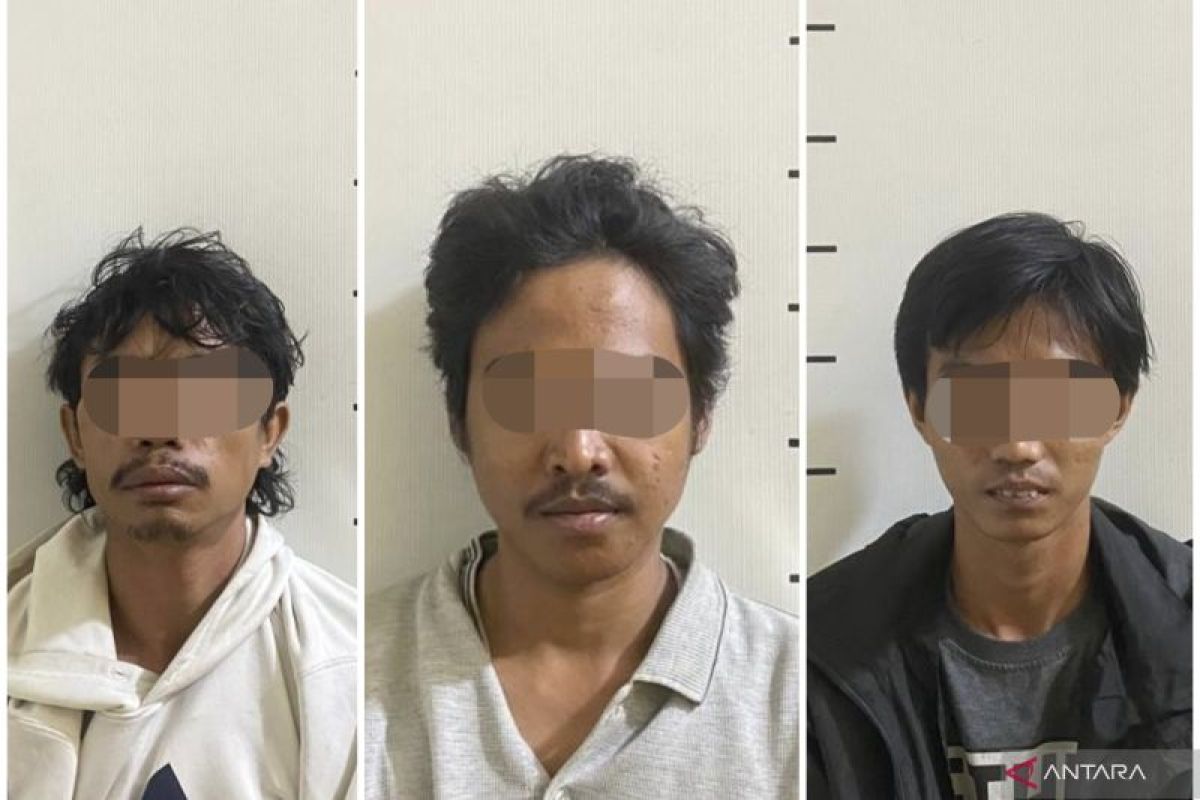 Polisi ringkus tiga pelaku pencurian dan pemilik sajam di Tangsel
