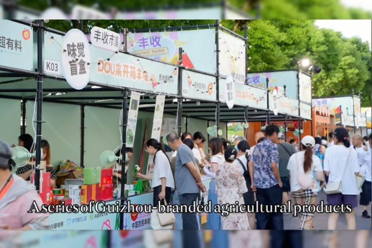 Guizhou‑Branded Mountain‑Grown Products Shine at Harvest‑Festival Event