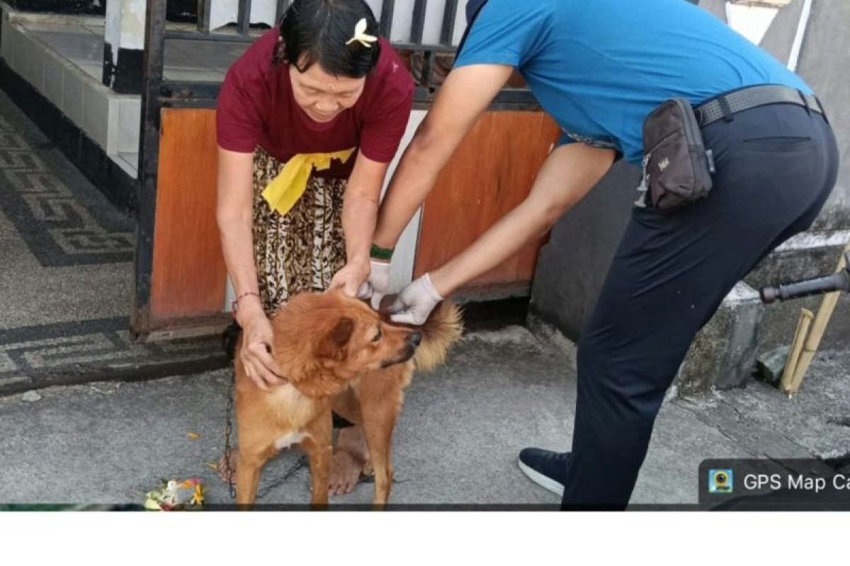 Pemkot Mataram memperkuat penanganan kasus gigitan hewan penular rabies