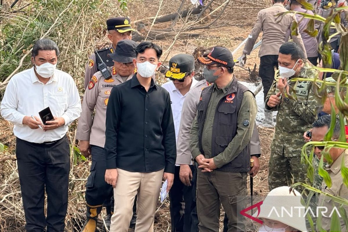 BNPB kerahkan 15 ribu personel tangani karhutla di Kalbar