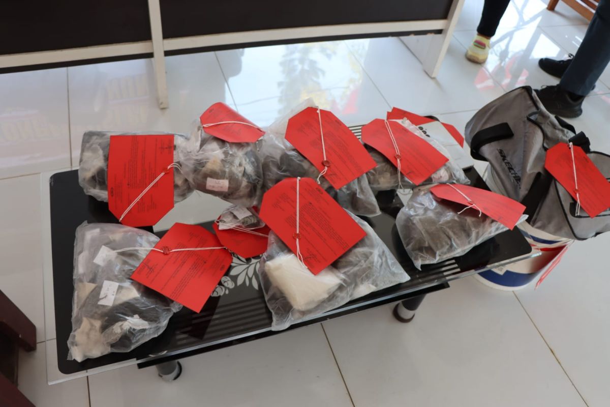 Dua penyelundup dengan satu kilogram ganja ditangkap di Biak