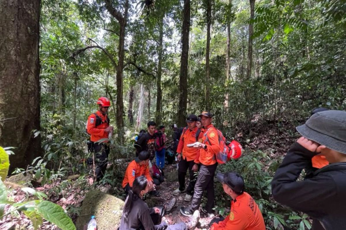 Tim SAR berhasil evakuasi tujuh pendaki dari Gunung Nokolalaki Sulteng