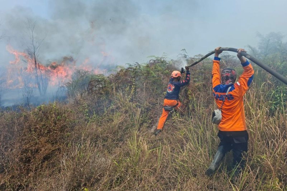 BPBD: Karhutla Poso hanguskan 50 hektare lahan gambut dan kebun warga