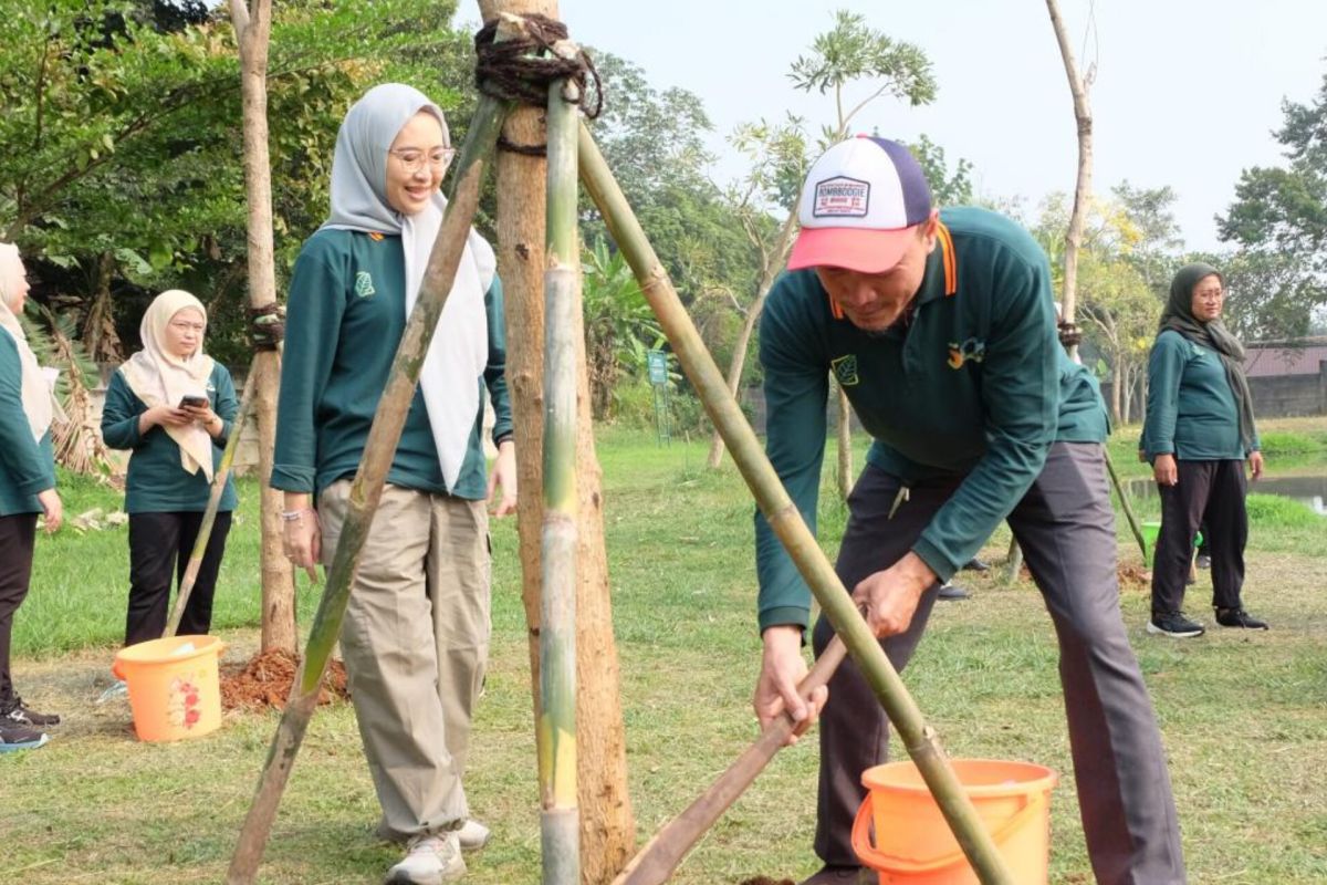 Pemkot Jaksel tanam tabebuya pink di Taman Casuarina untuk penghijauan