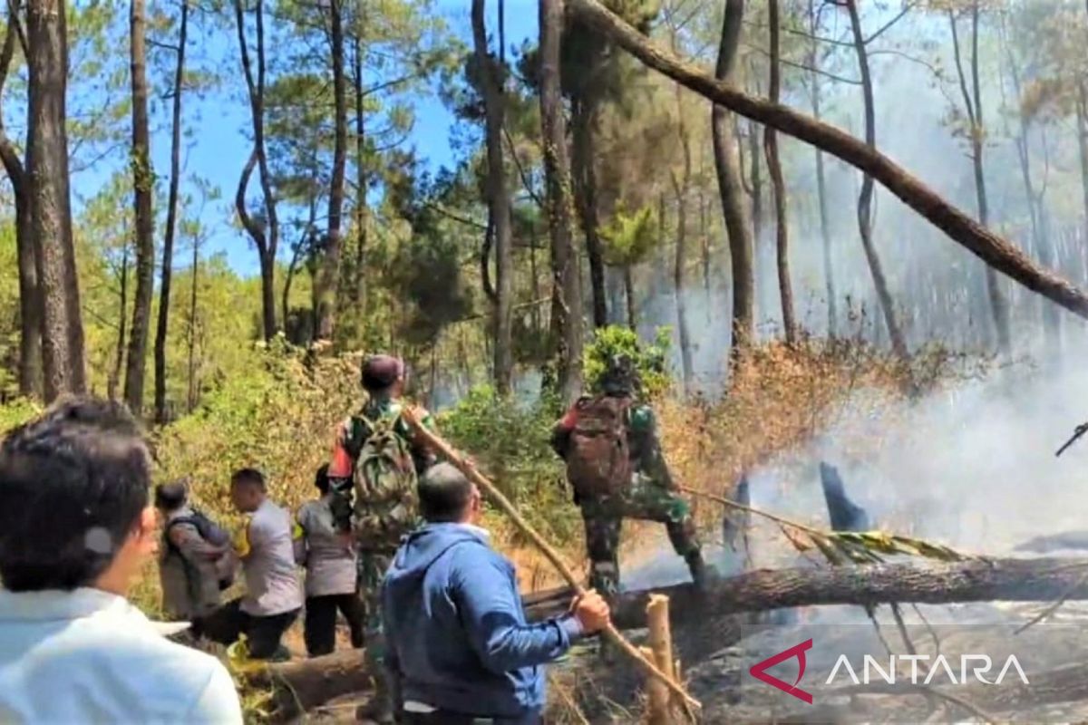 Tim Gabungan Berjibaku Padamkan Karhutla Lereng Lawu Magetan