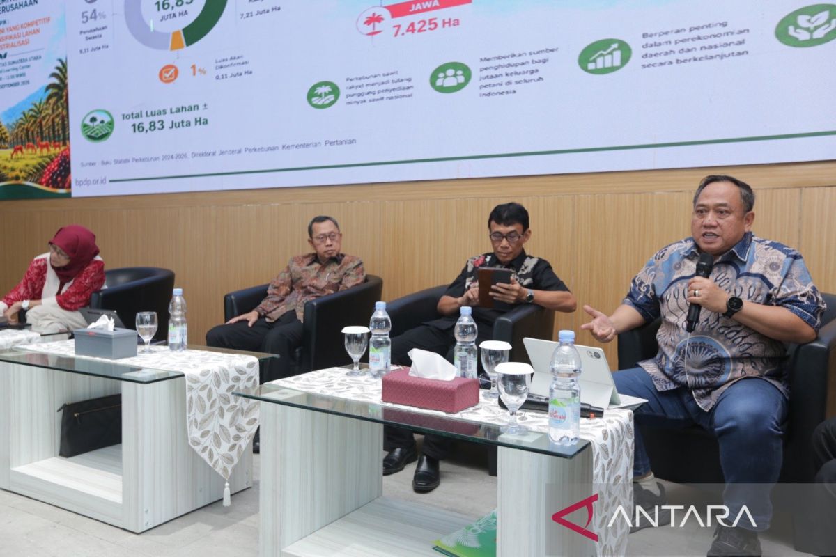 BPDP dukung korporatisasi petani sawit berkelanjutan