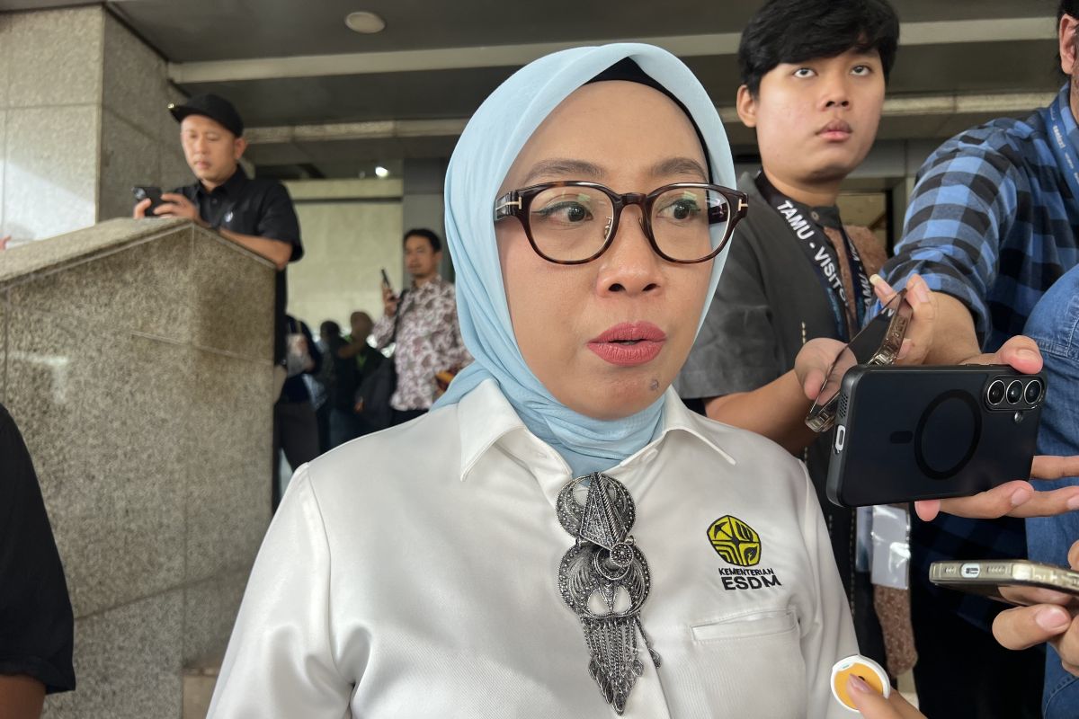 ESDM tarik investor untuk kembangkan pembangkit listrik dari angin