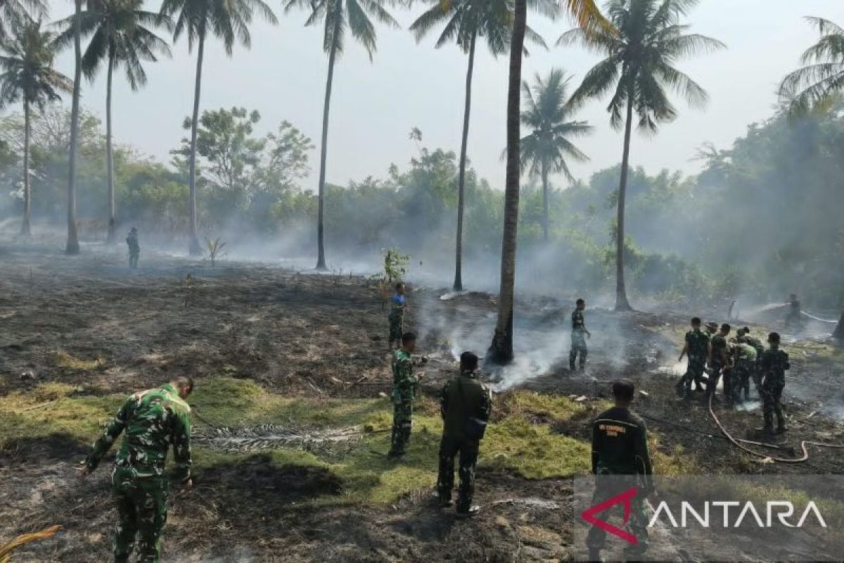 Image Print