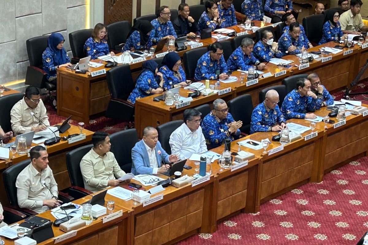 KP2MI ungkap kendala visa hambat penempatan pekerja migran ke Turki