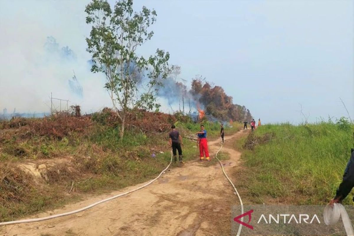 Kabut asap, sudah sebulan penerbangan ke Muara Teweh dibatalkan