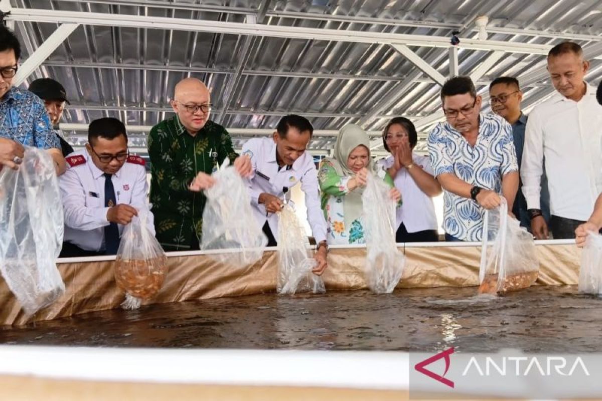 DKP Sulteng tebar 4.000 benih nila merah di Sigi jaga ketahanan pangan