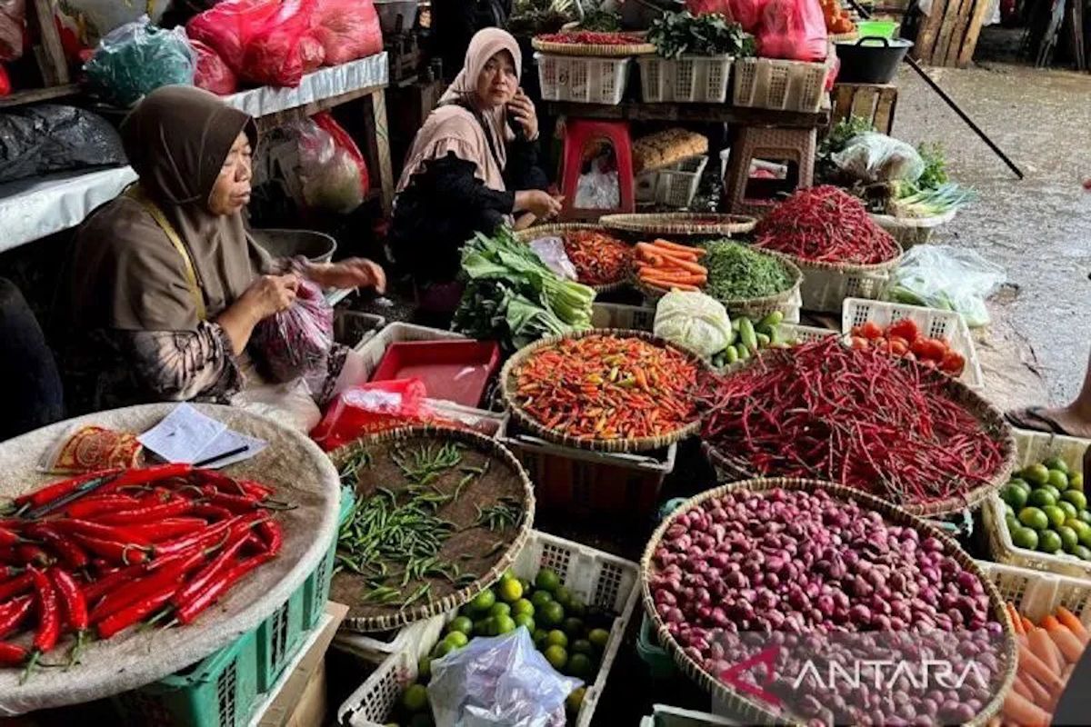 PIHPS catat harga cabai rawit Rp96.050/kg, telur ayam Rp29.900/kg