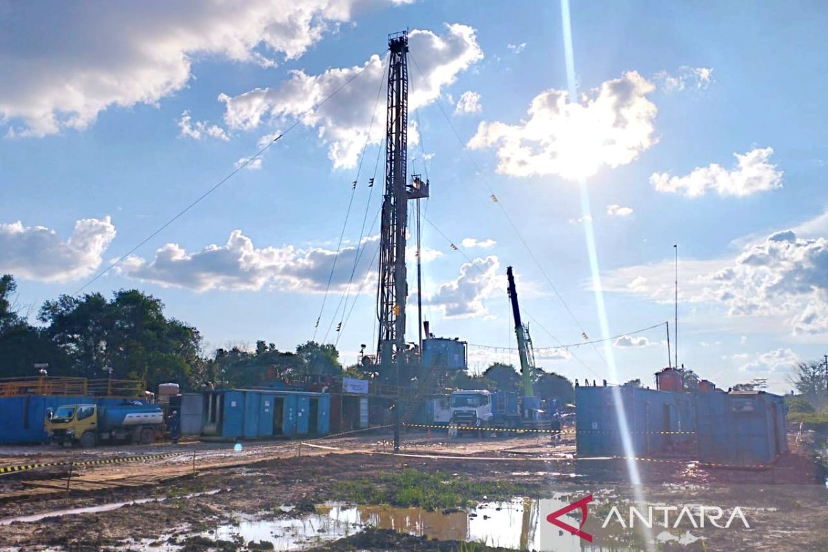 Pakar: Sinergi pemerintah-pelaku usaha tingkatkan investasi hulu migas