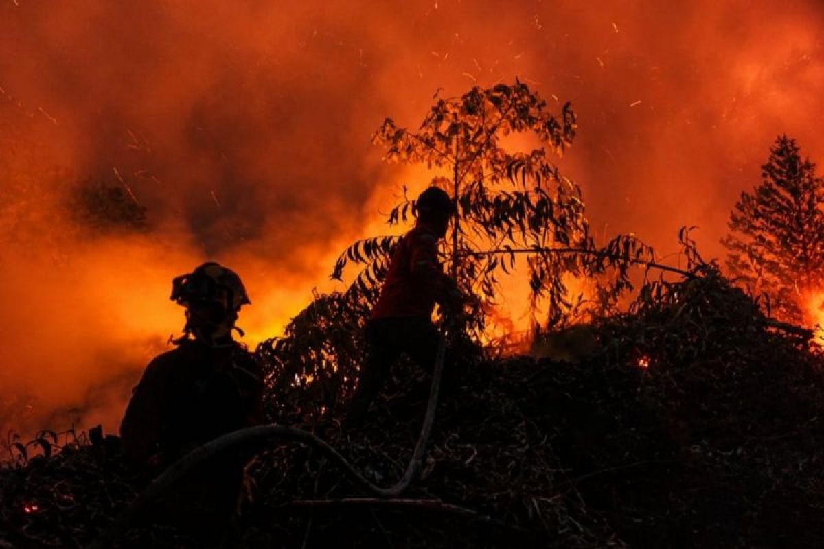 Personel gabungan helikopter water bombing padamkan lahan gambut Jambi
