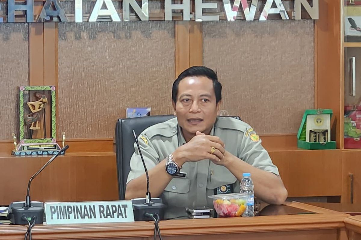Kementan perkuat tata kelola dan keberlanjutan usaha peternak babi