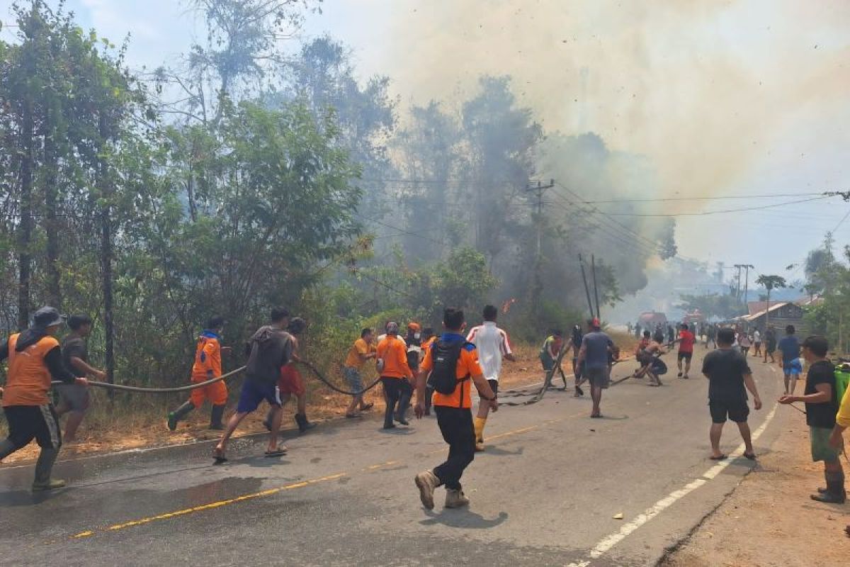 Karhutla hanguskan puluhan hektare lahan dan dua rumah warga di Kabupaten Poso