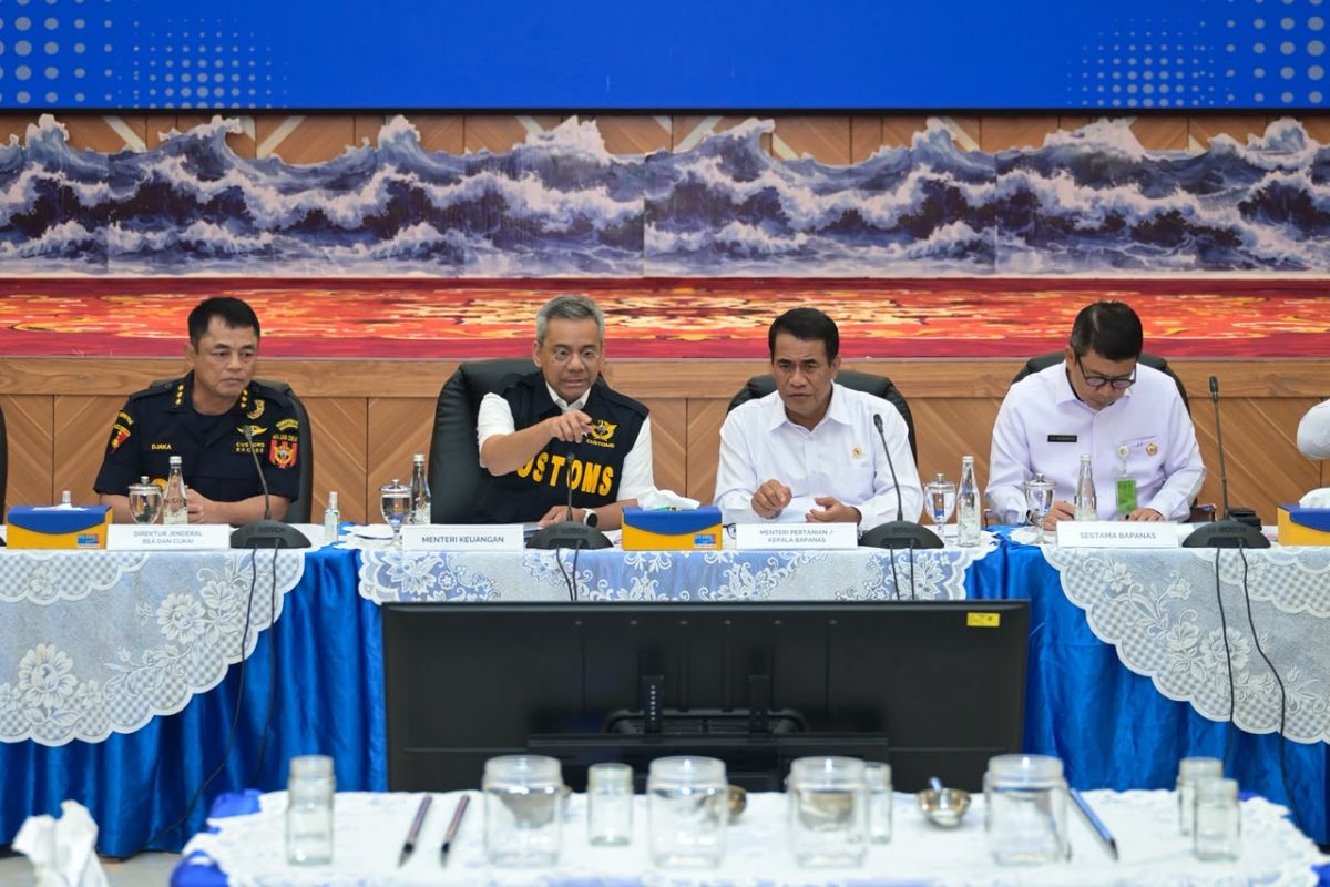 Menkeu Suahasil siapkan 3 langkah perkuat pengawasan Bea Cukai