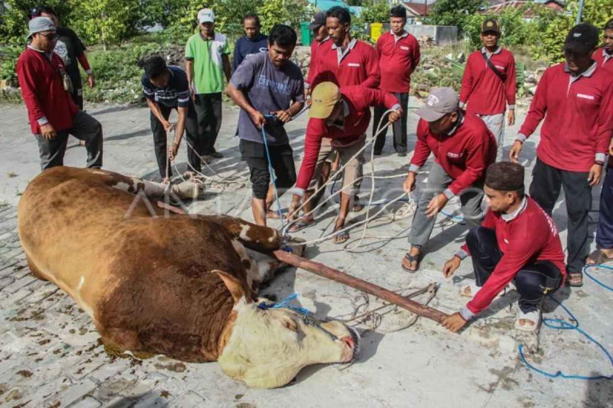 Kemenag latih puluhan juru sembelih halal guna tingkatkan kapasitas — NadiKabar.com