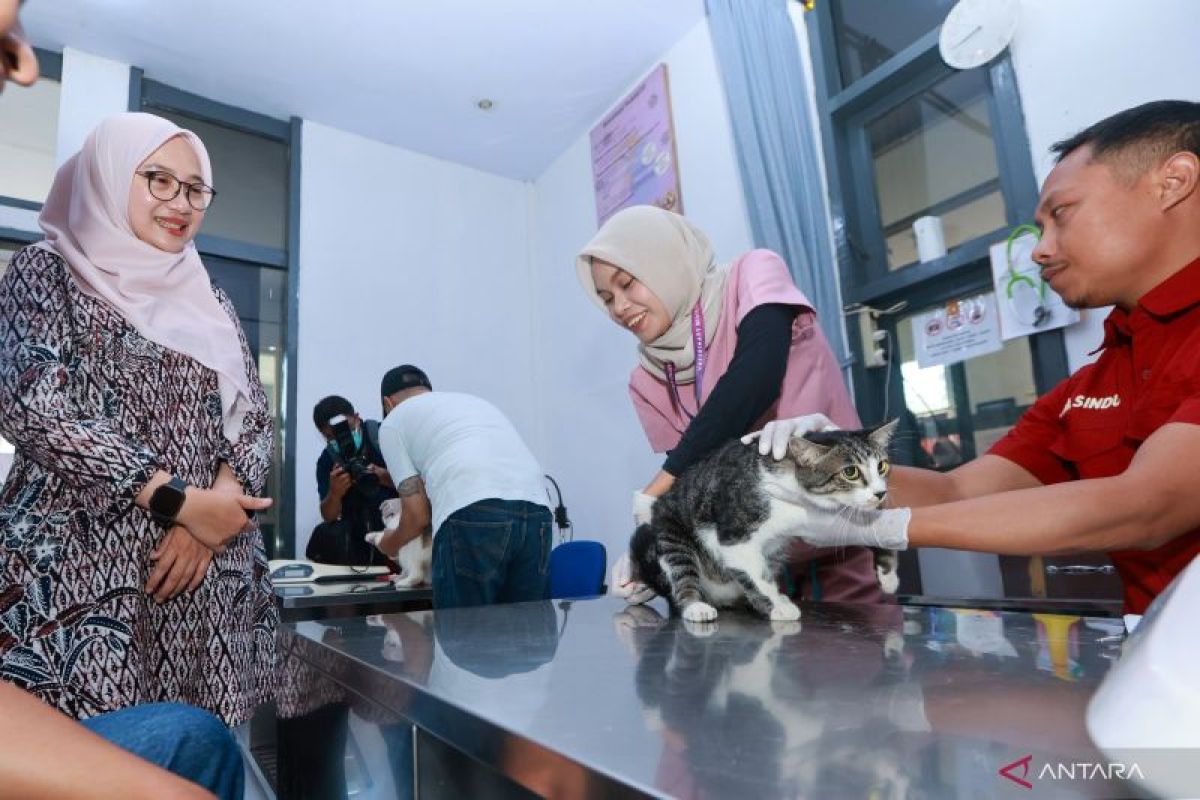 RSH Banyuwangi tambah unit layanan kesehatan khusus bedah hewan
