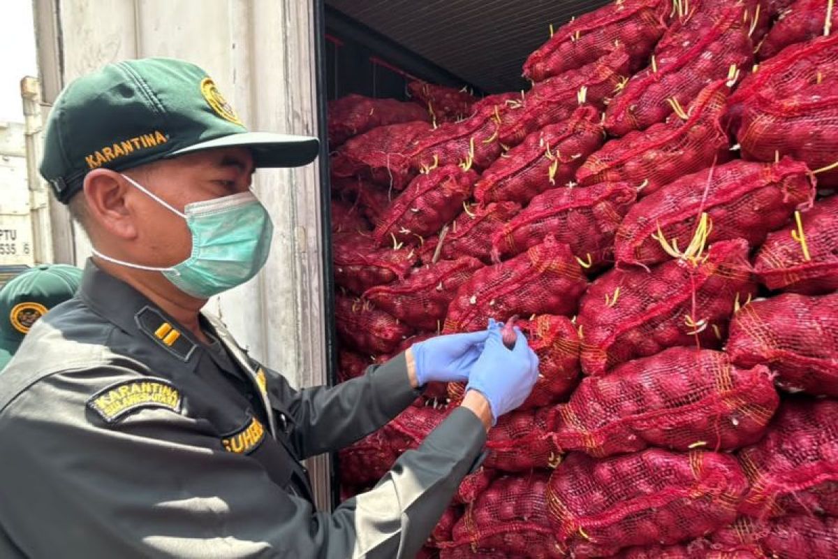 Karantina tolak 30 ton bawang merah masuk Sulut karena busuk dan berjamur