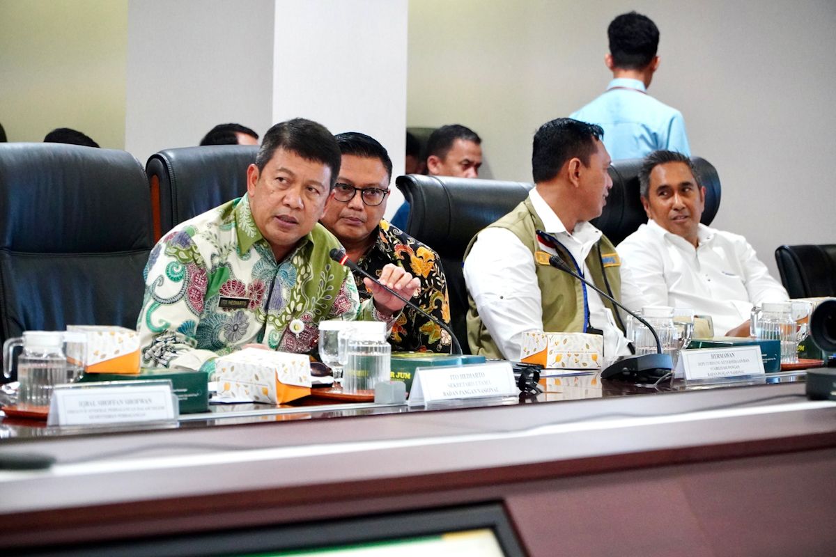 Bapanas perkuat KDKMP jadi saluran beras SPHP demi stabilitas harga